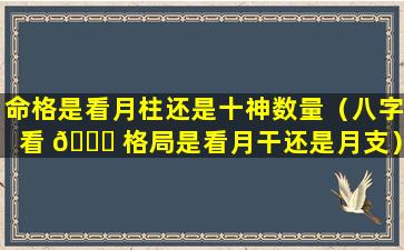 命格是看月柱还是十神数量（八字看 🐒 格局是看月干还是月支）